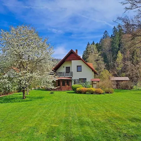 Villa Gejzir 37 Karlovy Vary Exterior photo