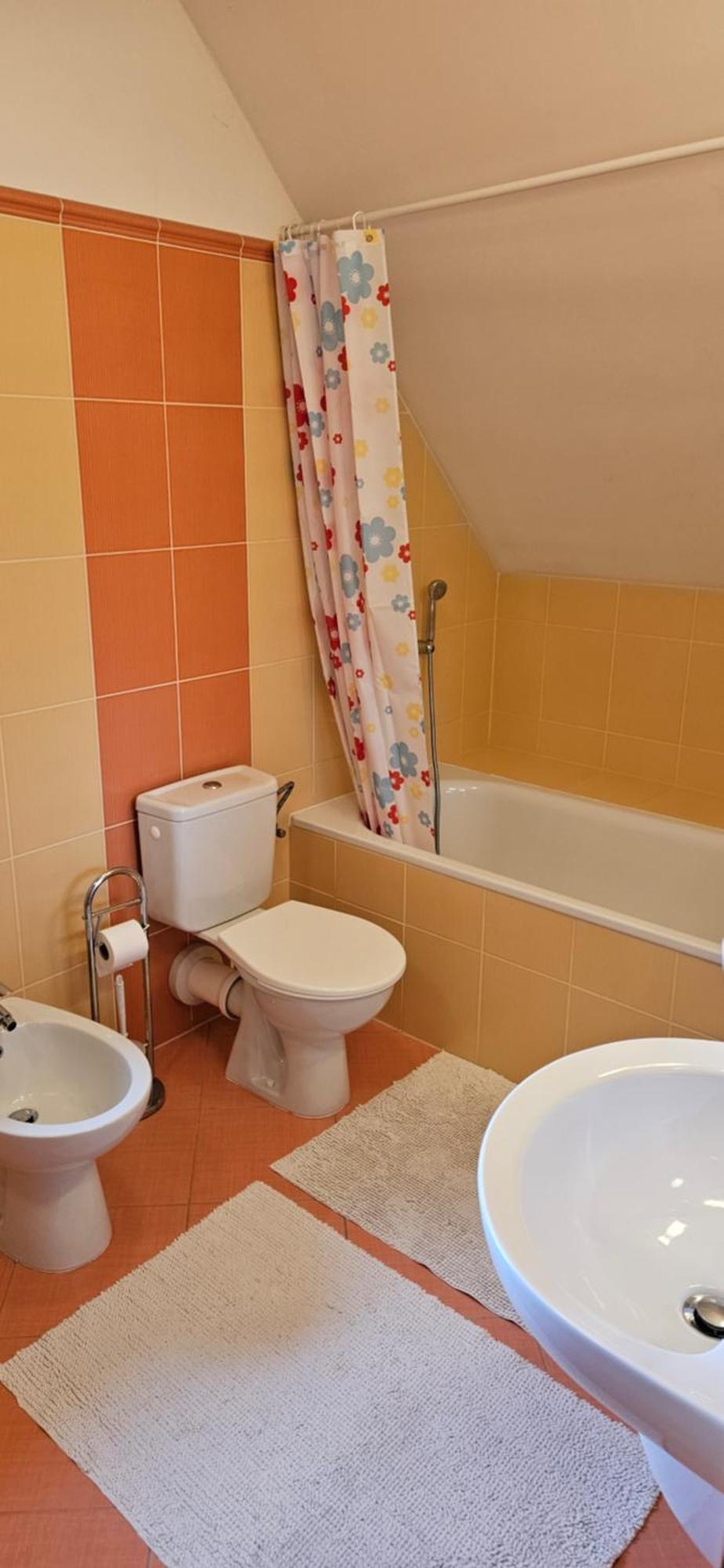 Gejzir 37 * Karlovy Vary